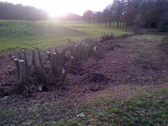15th tee ditch clearance